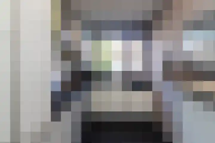 Vlietlaan 22 Wateringen thumbnail 7