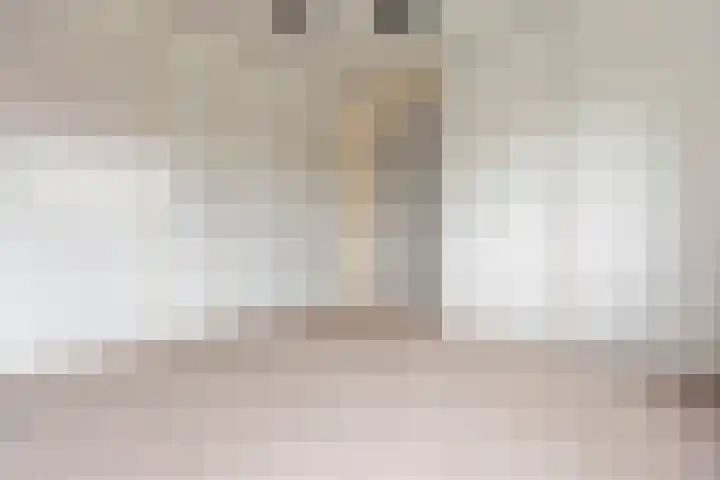 Vlietlaan 26 Assendelft thumbnail 11