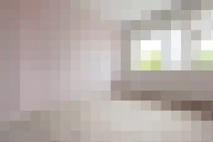 Vlietlaan 26 Assendelft thumbnail 13