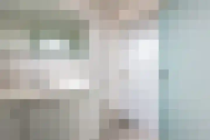 Vlietlaan 26 Assendelft thumbnail 17