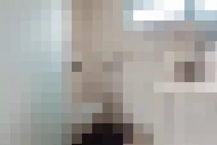 Vlietlaan 26 Assendelft thumbnail 18