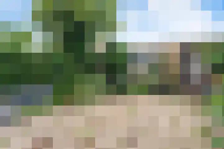 Vlietlaan 26 Assendelft thumbnail 19
