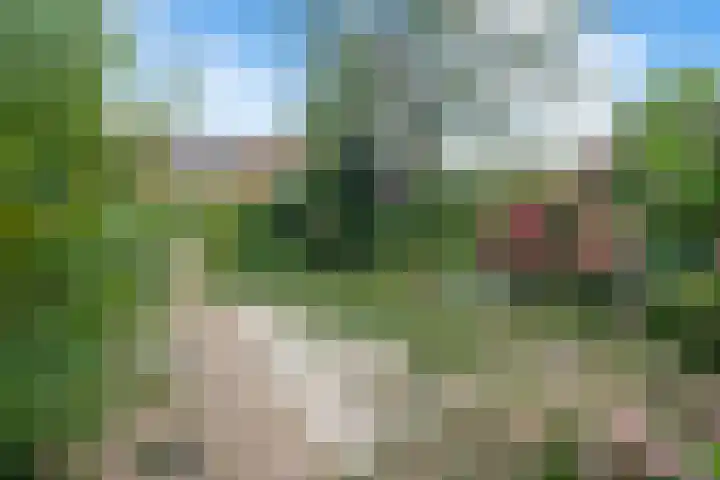 Vlietlaan 26 Assendelft thumbnail 22