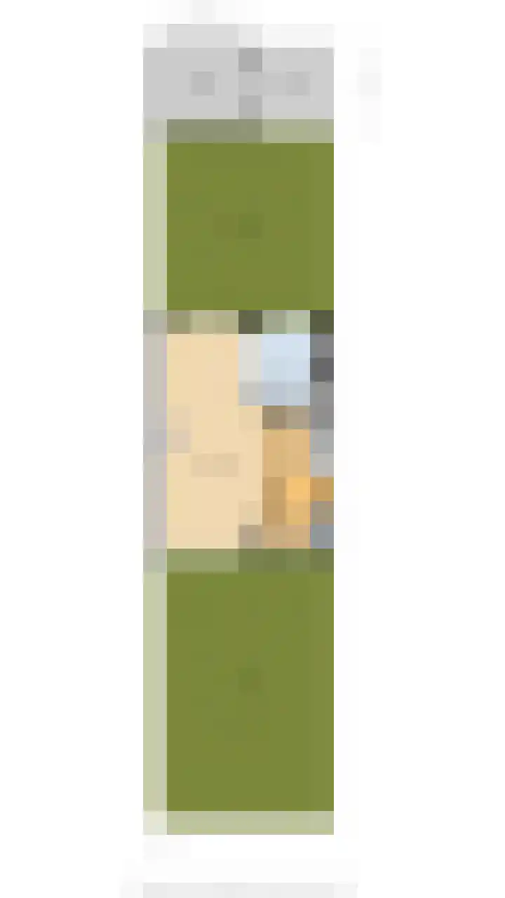 Vlietlaan 26 Assendelft thumbnail 26