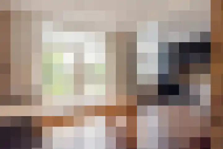 Vlietlaan 26 Assendelft thumbnail 4