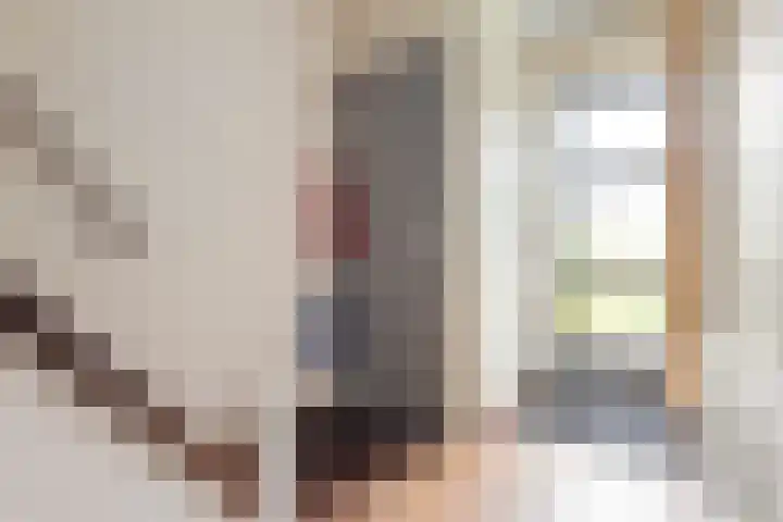 Vlietlaan 26 Assendelft thumbnail 8
