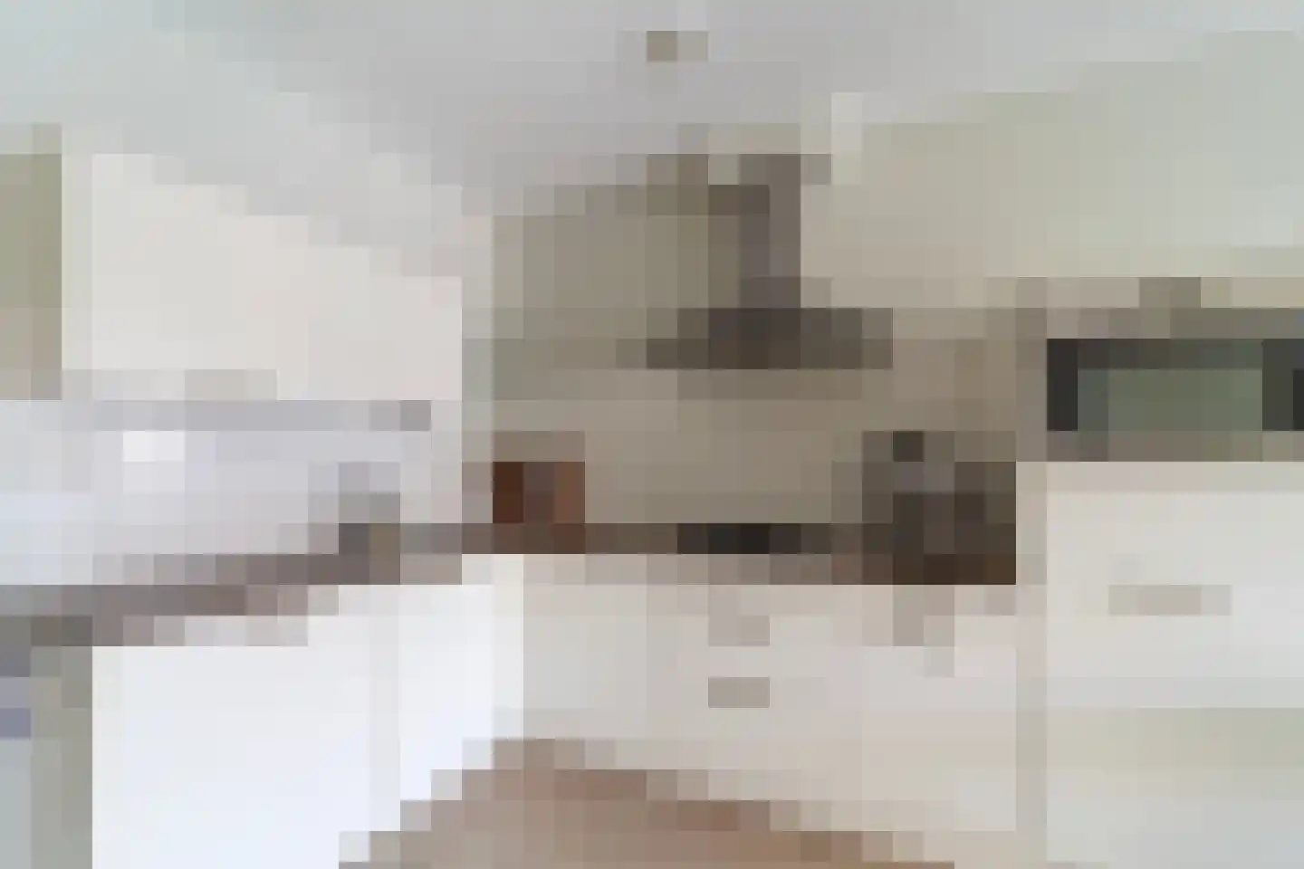 Vlietlaan 27 Wateringen thumbnail 12