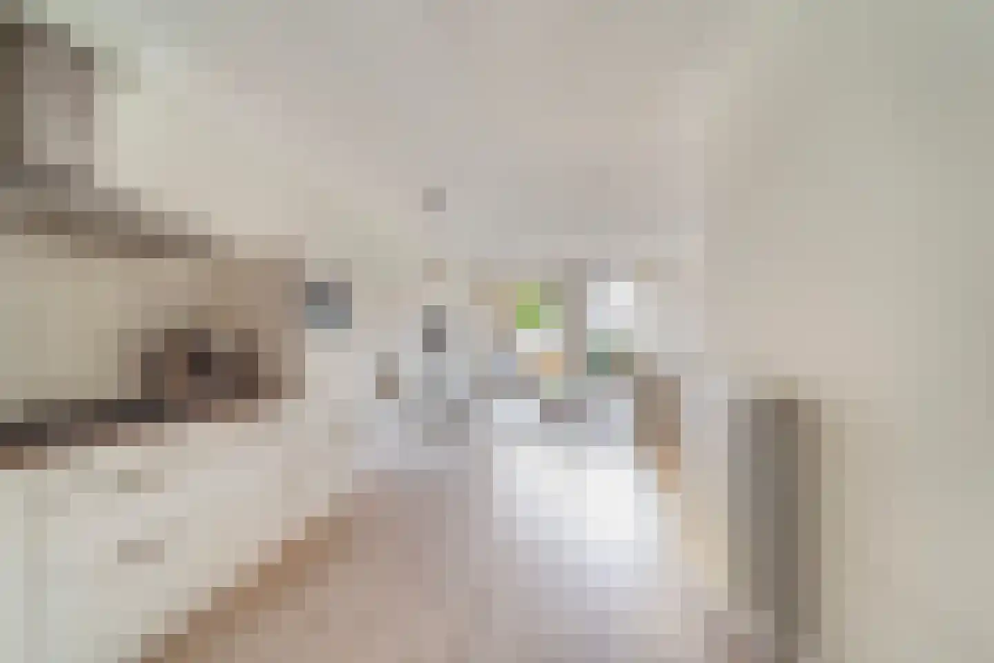 Vlietlaan 27 Wateringen thumbnail 13