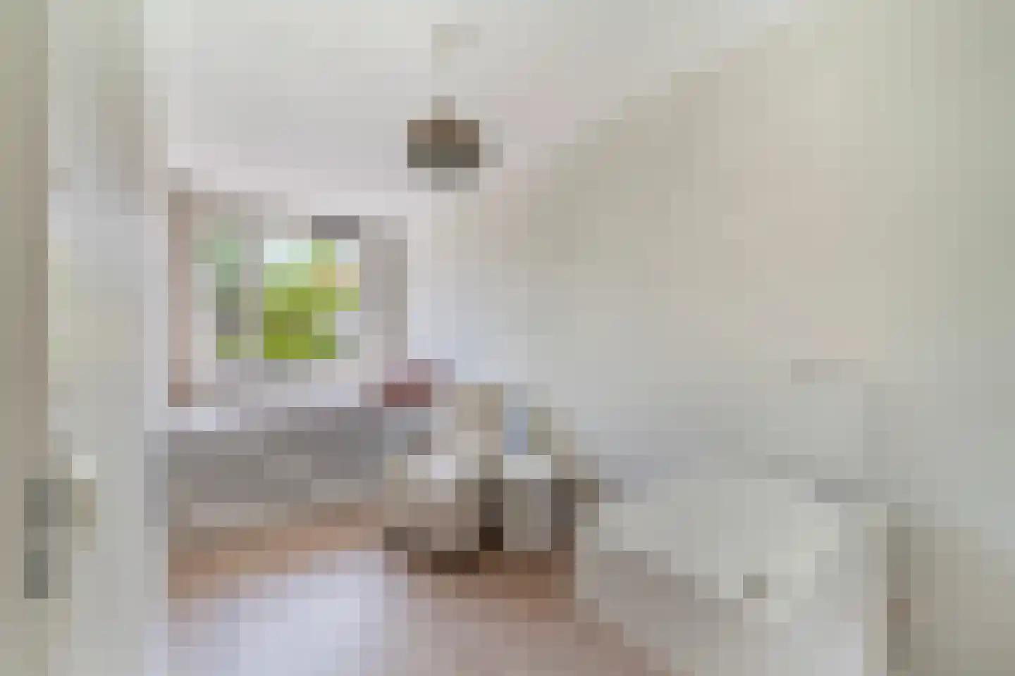 Vlietlaan 27 Wateringen thumbnail 14