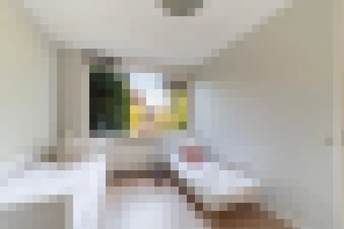 Vlietlaan 27 Wateringen thumbnail 17