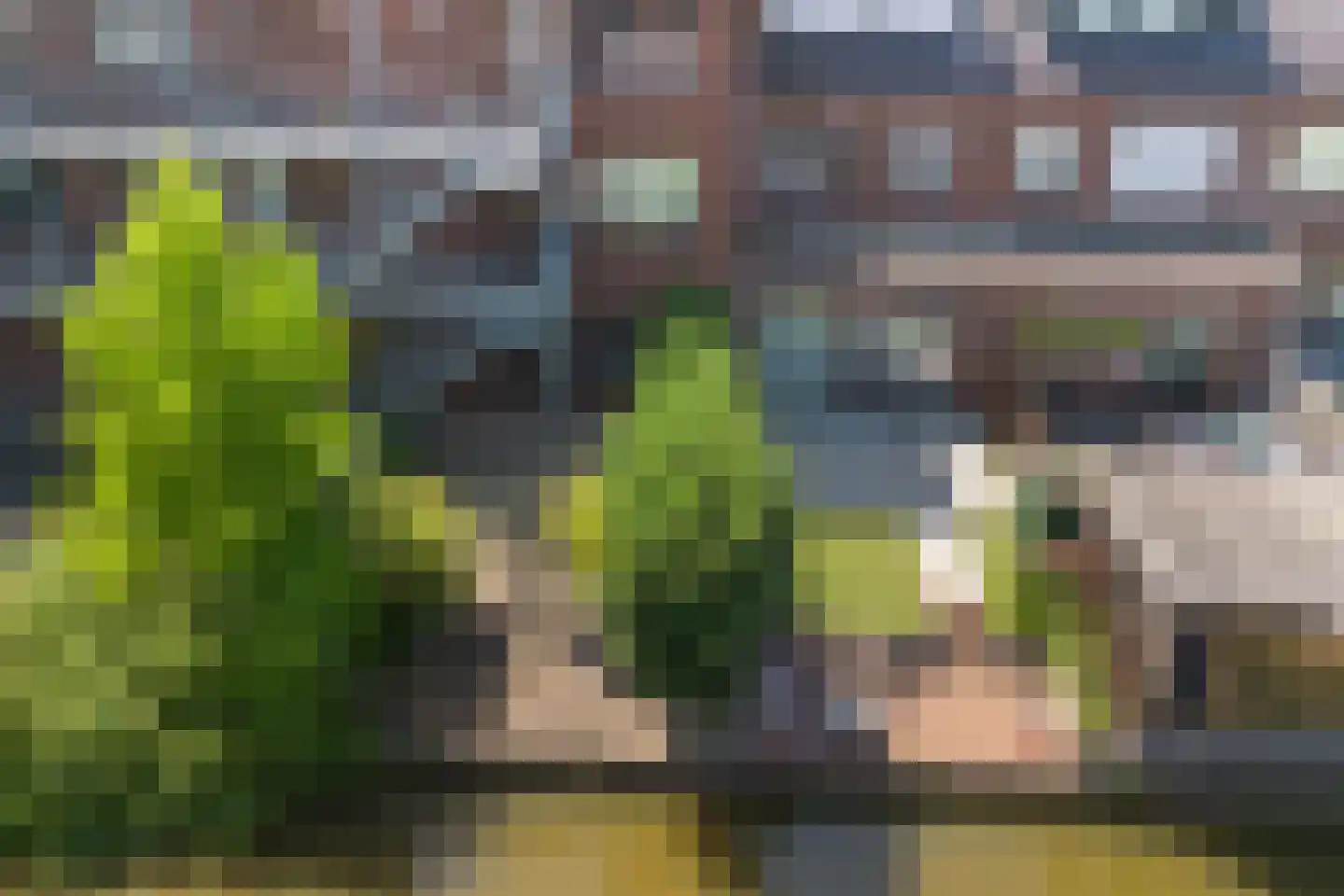 Vlietlaan 27 Wateringen thumbnail 25