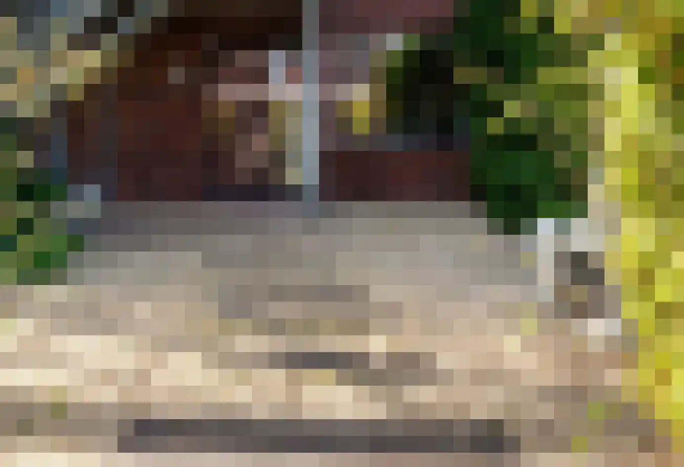 Vlietlaan 27 Wateringen thumbnail 5