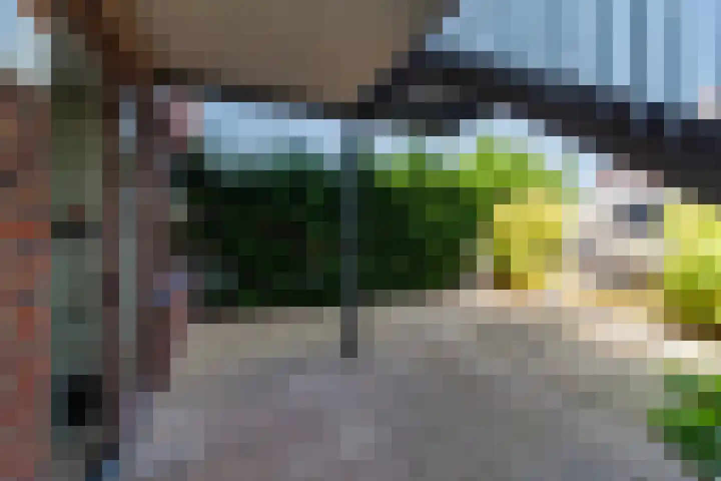 Vlietlaan 27 Wateringen thumbnail 6