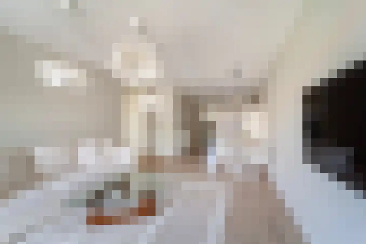 Vlietlaan 27 Wateringen thumbnail 8