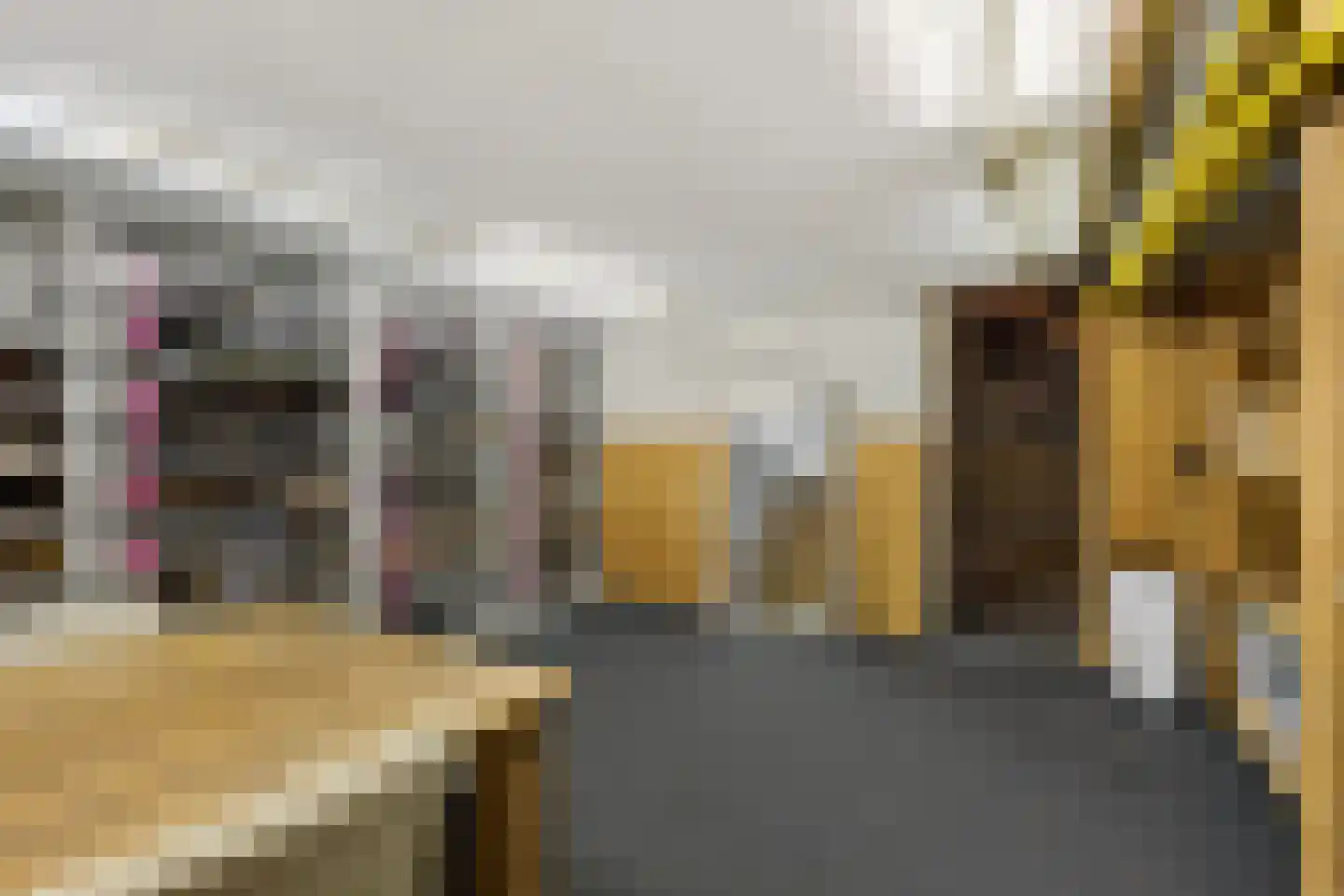 Vlietlaan 38 Bussum thumbnail 15