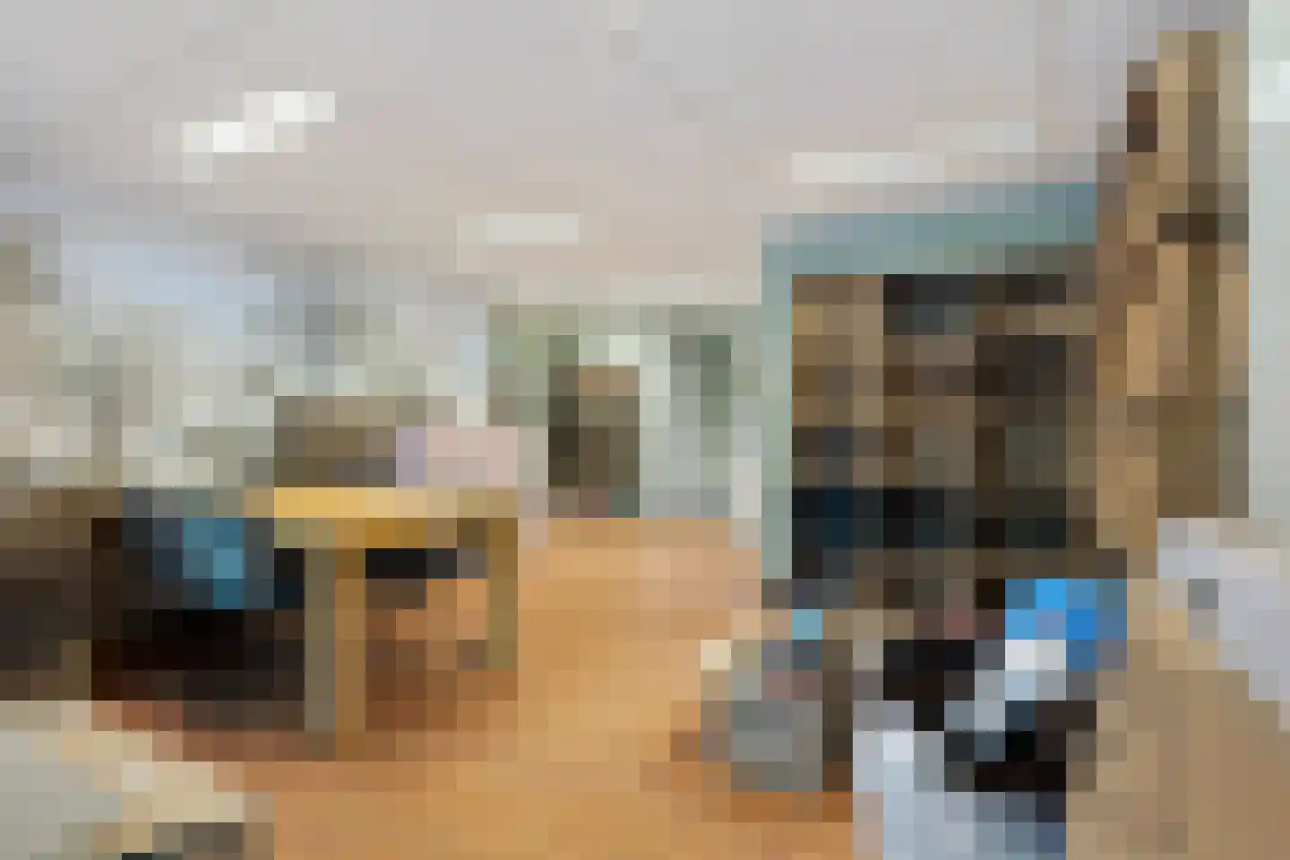 Vlietlaan 38 Bussum thumbnail 4