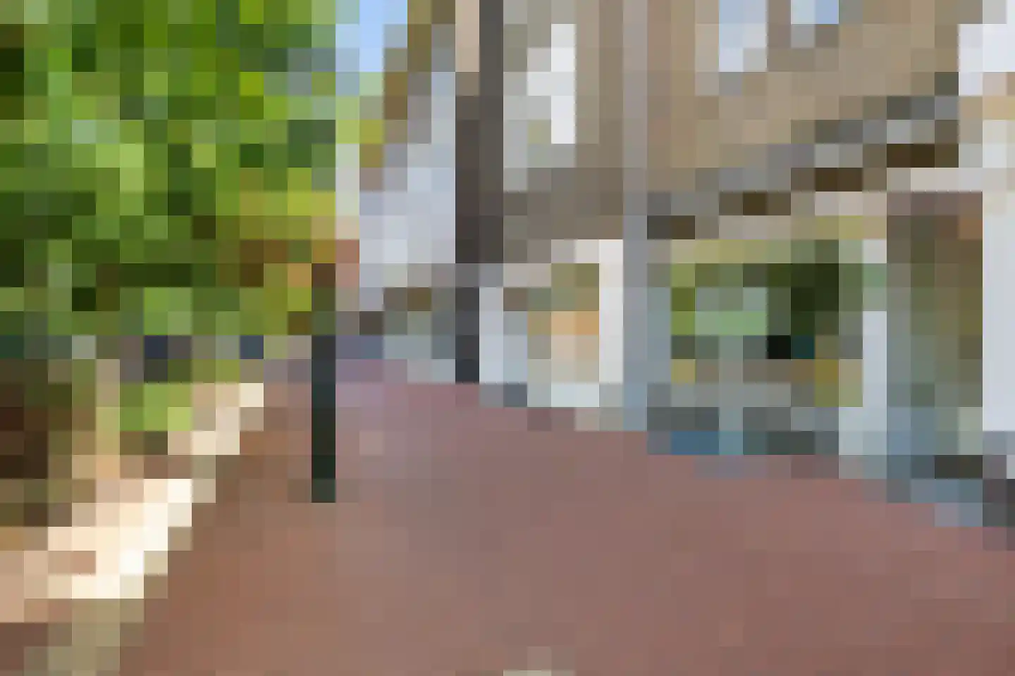 Vlietlaan 38 Bussum thumbnail 40