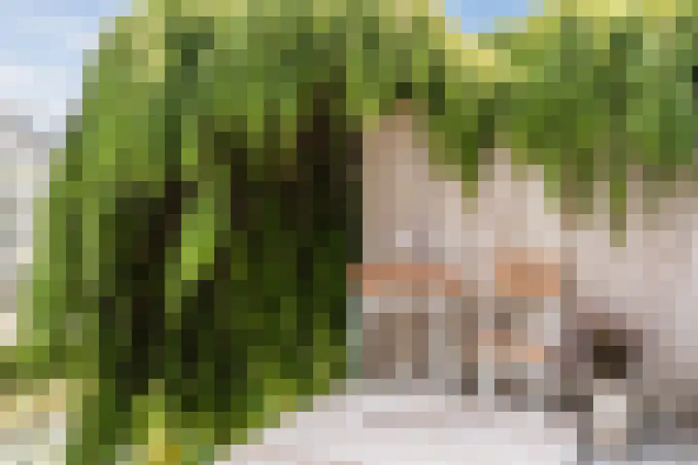 Vlietlaan 38 Wateringen thumbnail 26