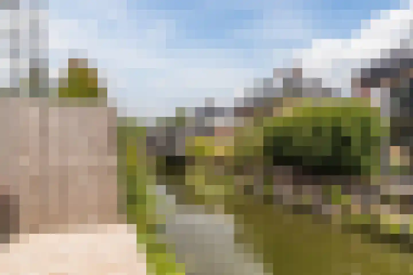 Vlietlaan 38 Wateringen thumbnail 27