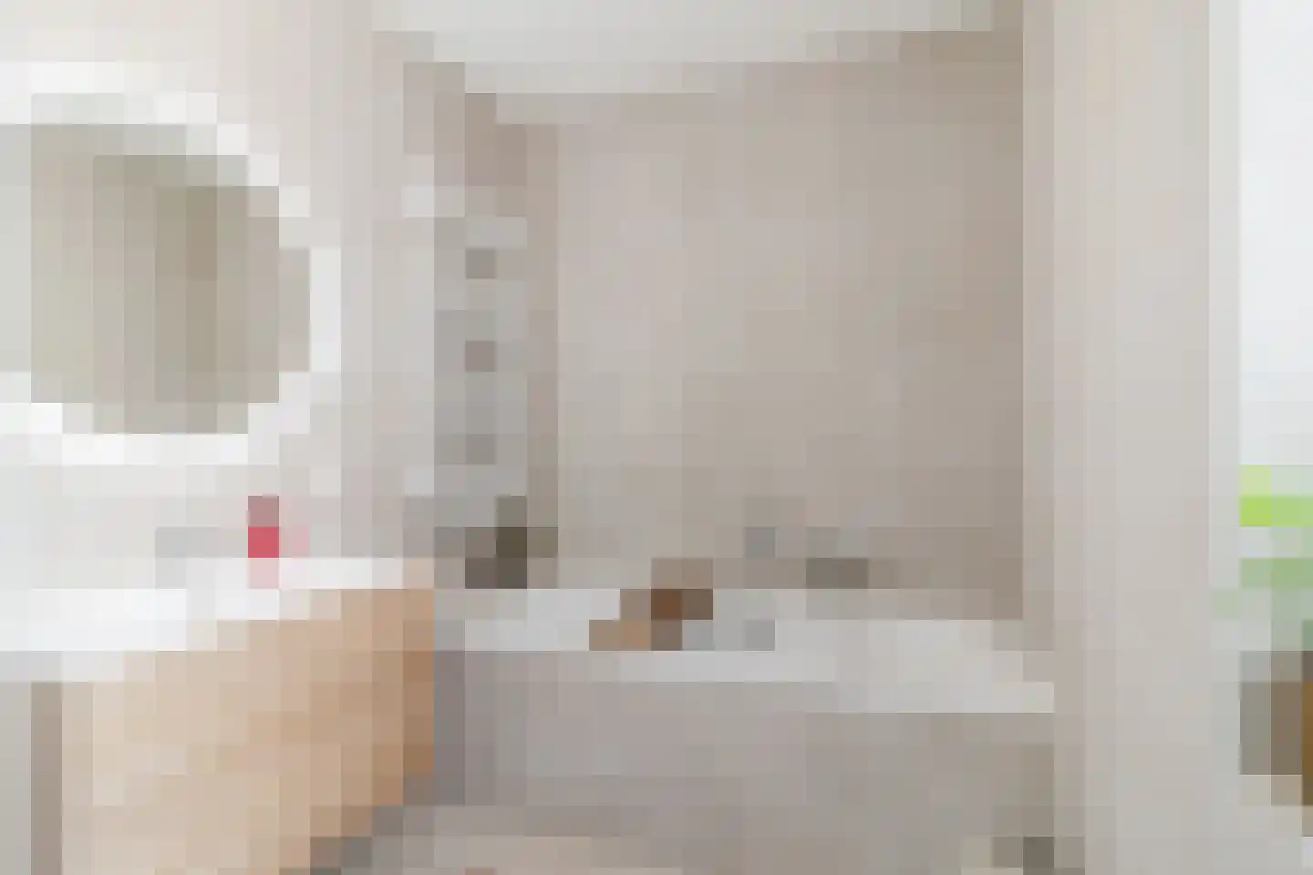 Vlietlaan 38 Wateringen thumbnail 4
