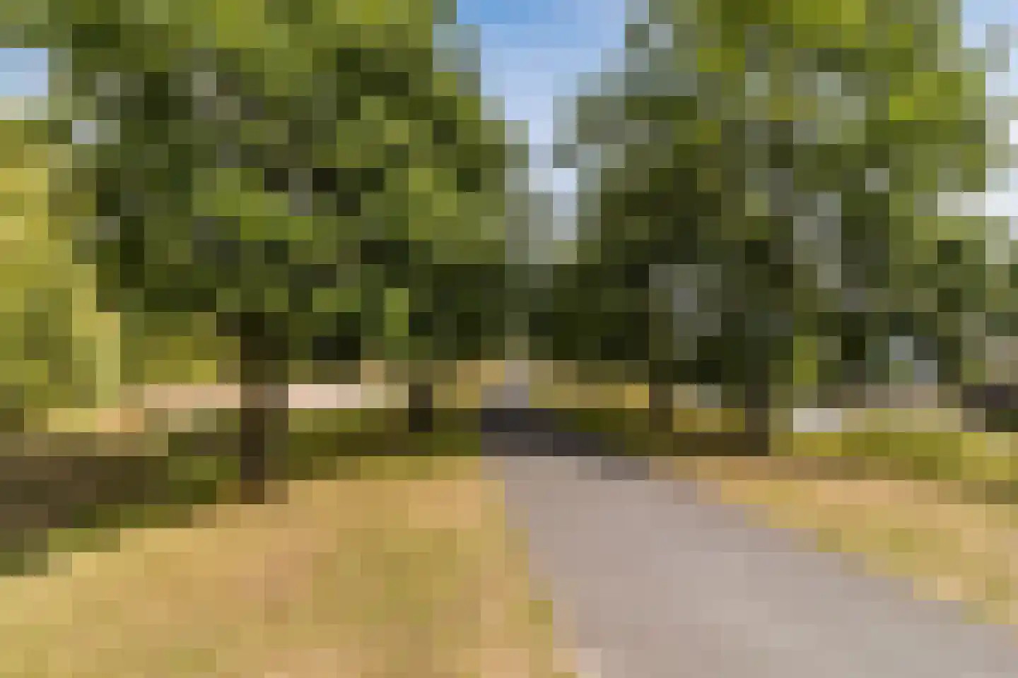 Vlietlaan 38 Wateringen thumbnail 53
