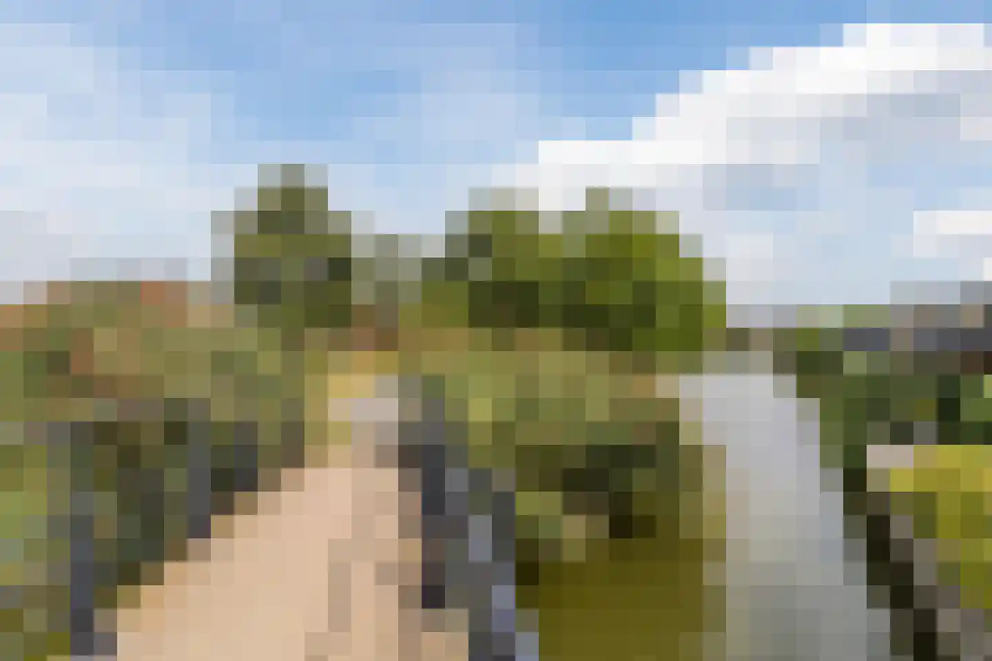 Vlietlaan 38 Wateringen thumbnail 54