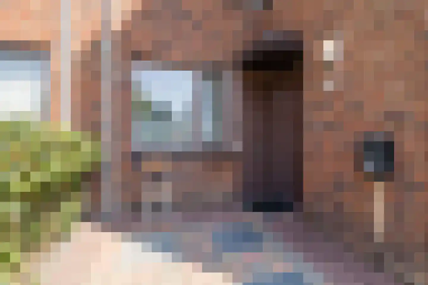 Vlietlaan 38 Wateringen thumbnail 9