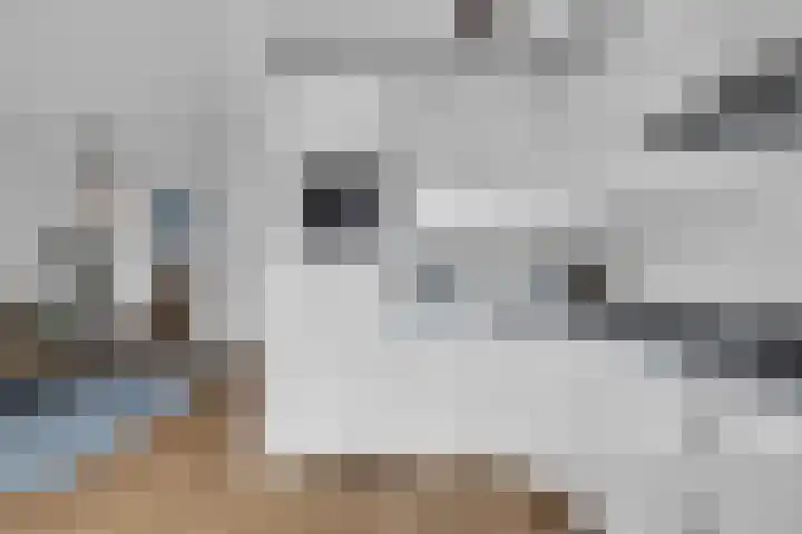 Vlietlaan 4 D Bussum thumbnail 12