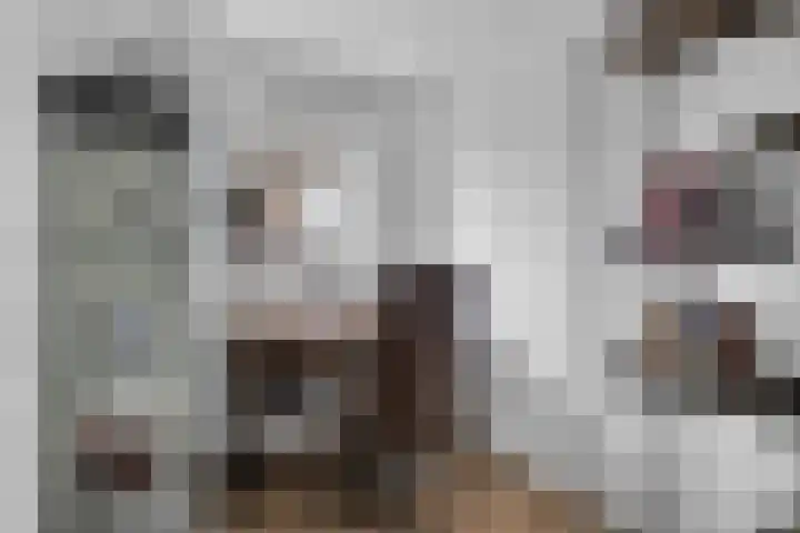 Vlietlaan 4 D Bussum thumbnail 14