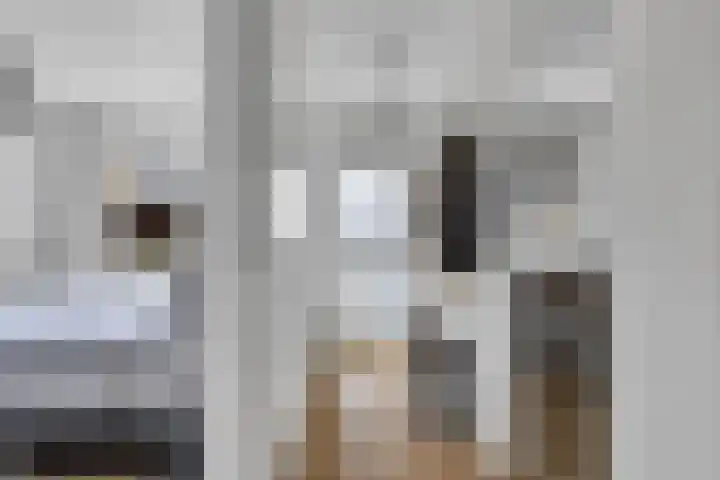 Vlietlaan 4 D Bussum thumbnail 15