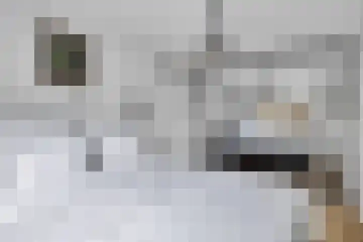 Vlietlaan 4 D Bussum thumbnail 17