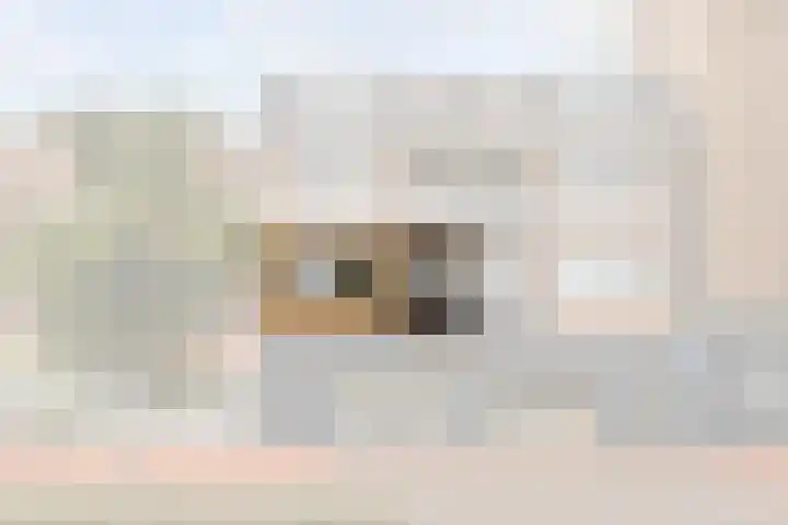 Vlietlaan 4 D Bussum foto 2