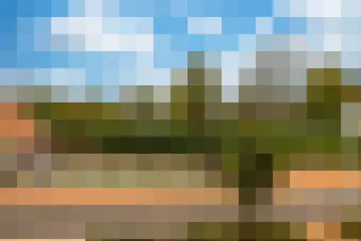Vlietlaan 4 D Bussum thumbnail 22