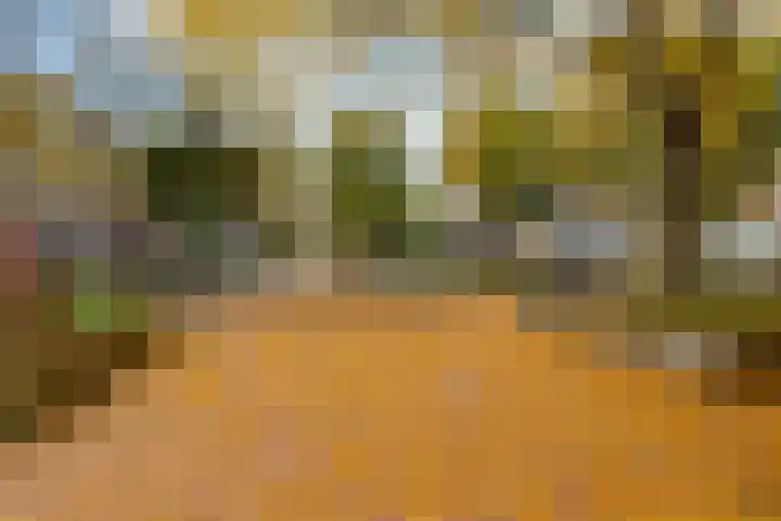 Vlietlaan 4 D Bussum thumbnail 25