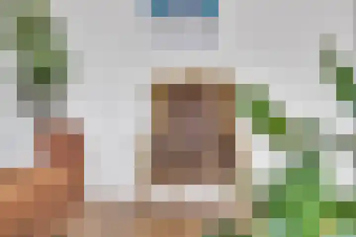 Vlietlaan 4 D Bussum thumbnail 8