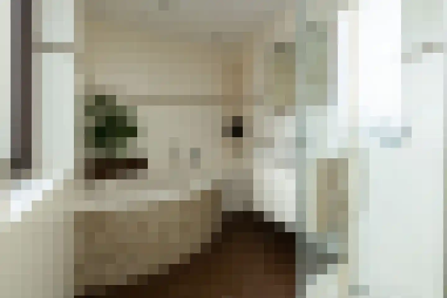 Vlietlaan 43 Wateringen thumbnail 21