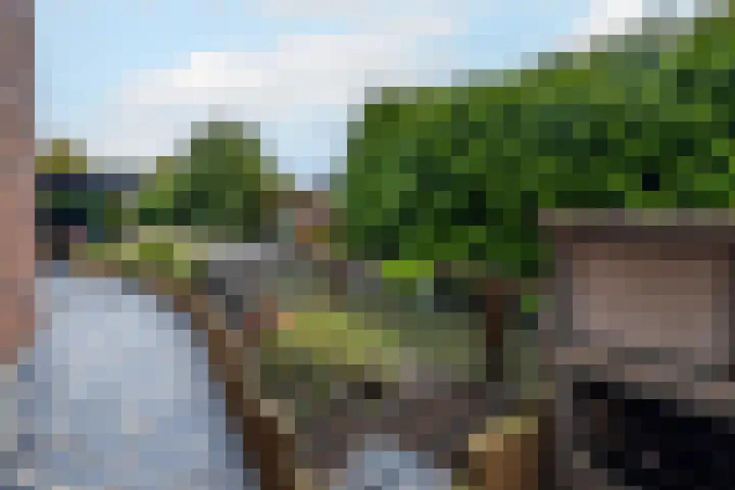 Vlietlaan 43 Wateringen thumbnail 43