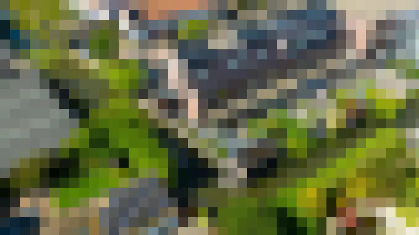 Vlietlaan 43 Wateringen thumbnail 47
