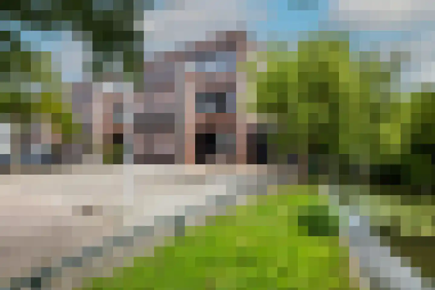 Vlietlaan 43 Wateringen thumbnail 50