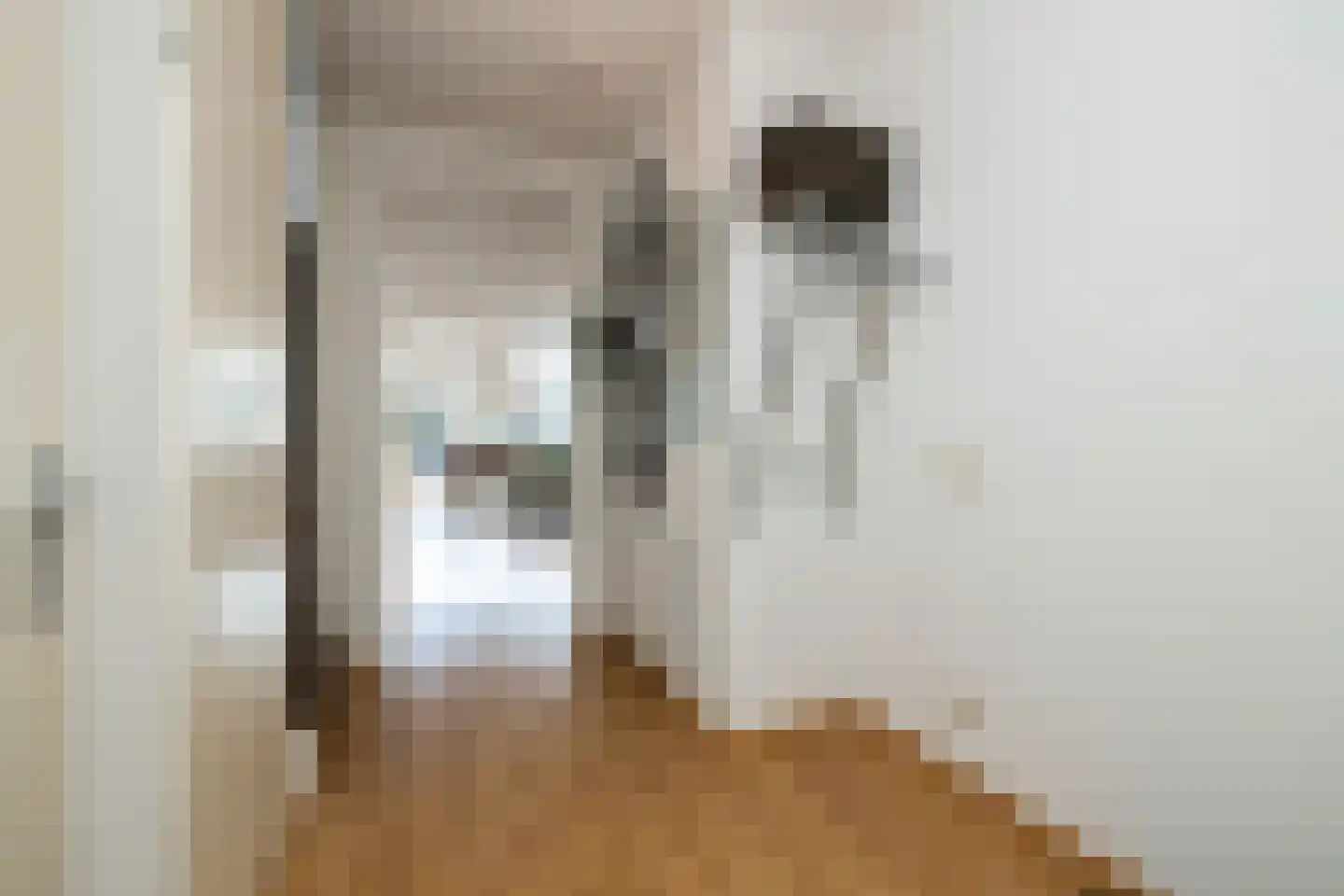 Vlietlaan 43 Wateringen thumbnail 6