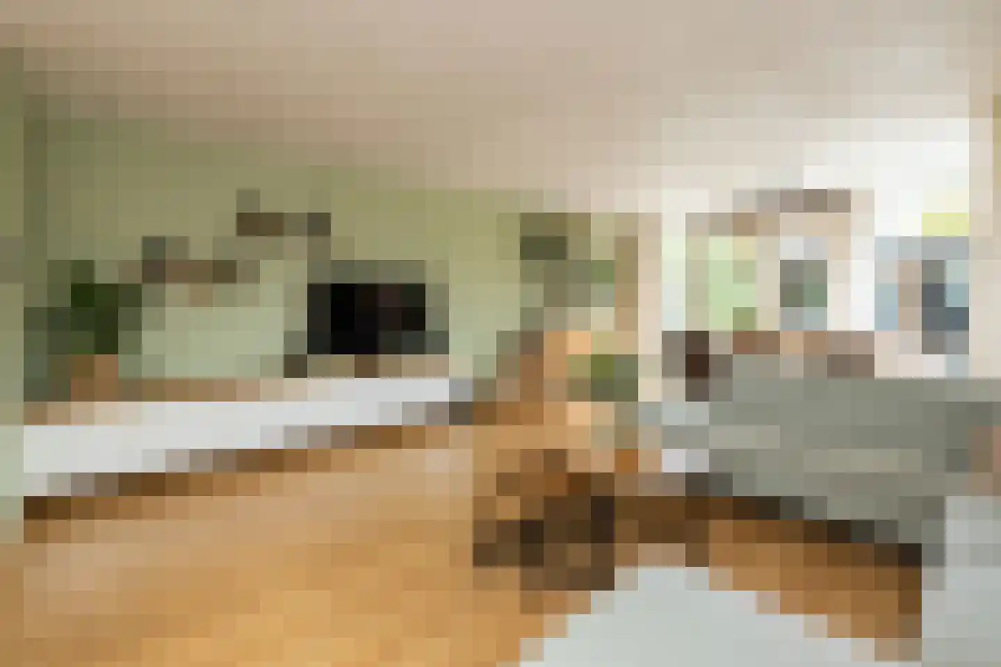 Vlietlaan 43 Wateringen thumbnail 8