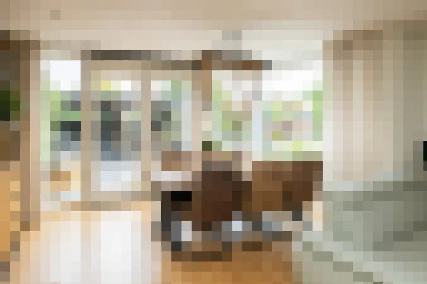 Vlietlaan 43 Wateringen thumbnail 9