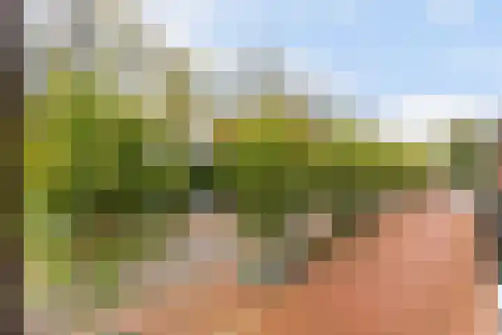 Vlietlaan 44 B 1 Bussum thumbnail 17