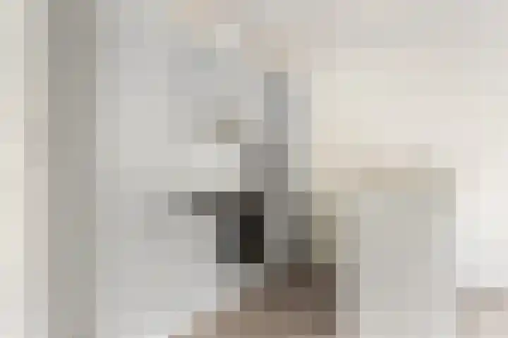 Vlietlaan 44 B 1 Bussum thumbnail 6