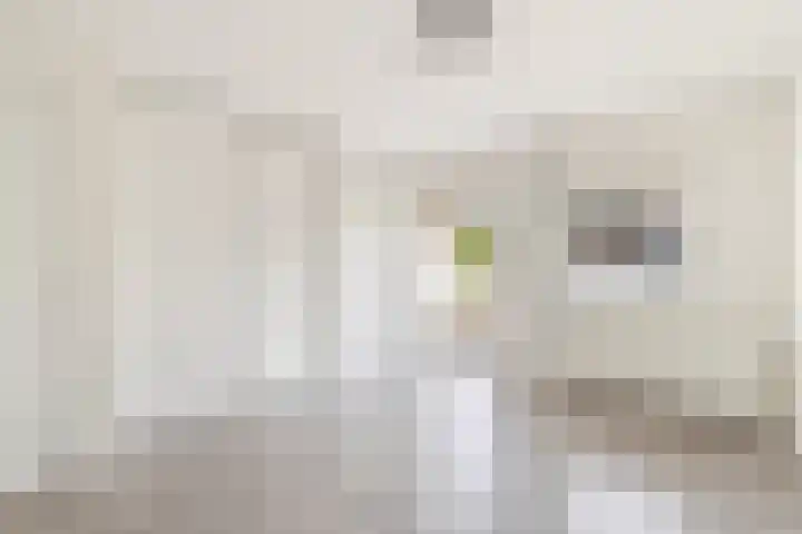 Vlietlaan 44 B 1 Bussum thumbnail 9