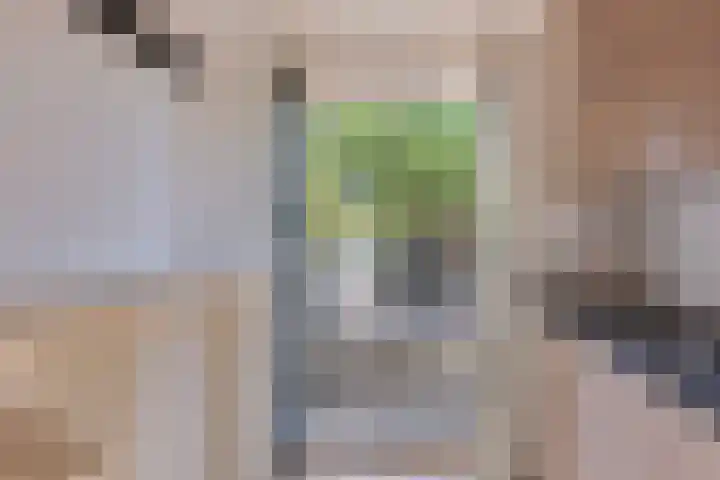 Vlietlaan 55 B 02 Rotterdam thumbnail 12