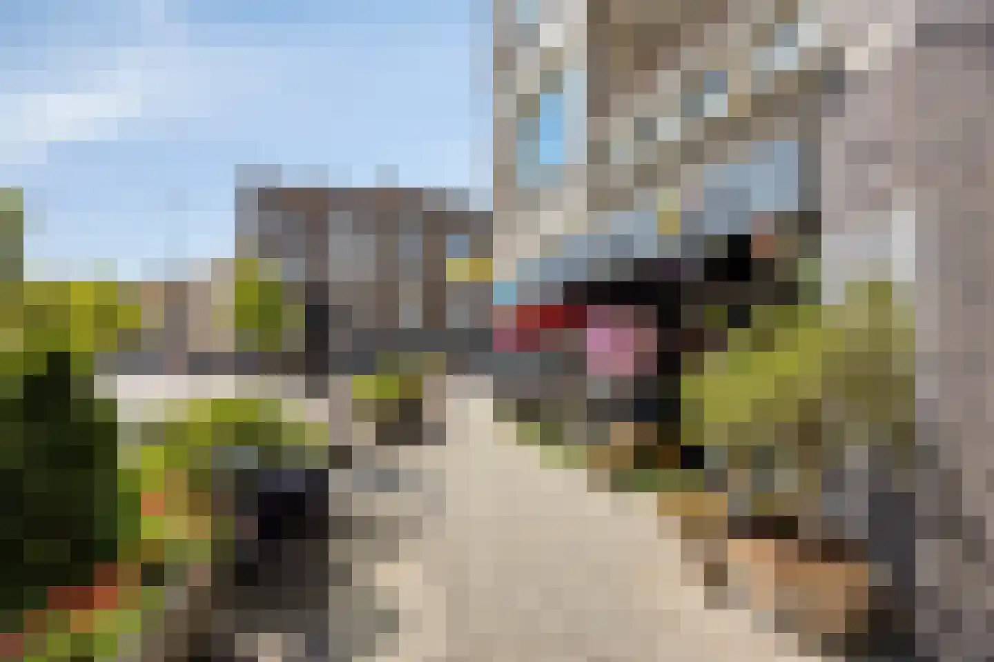 Vlietlaan 55 B 04 Rotterdam thumbnail 19