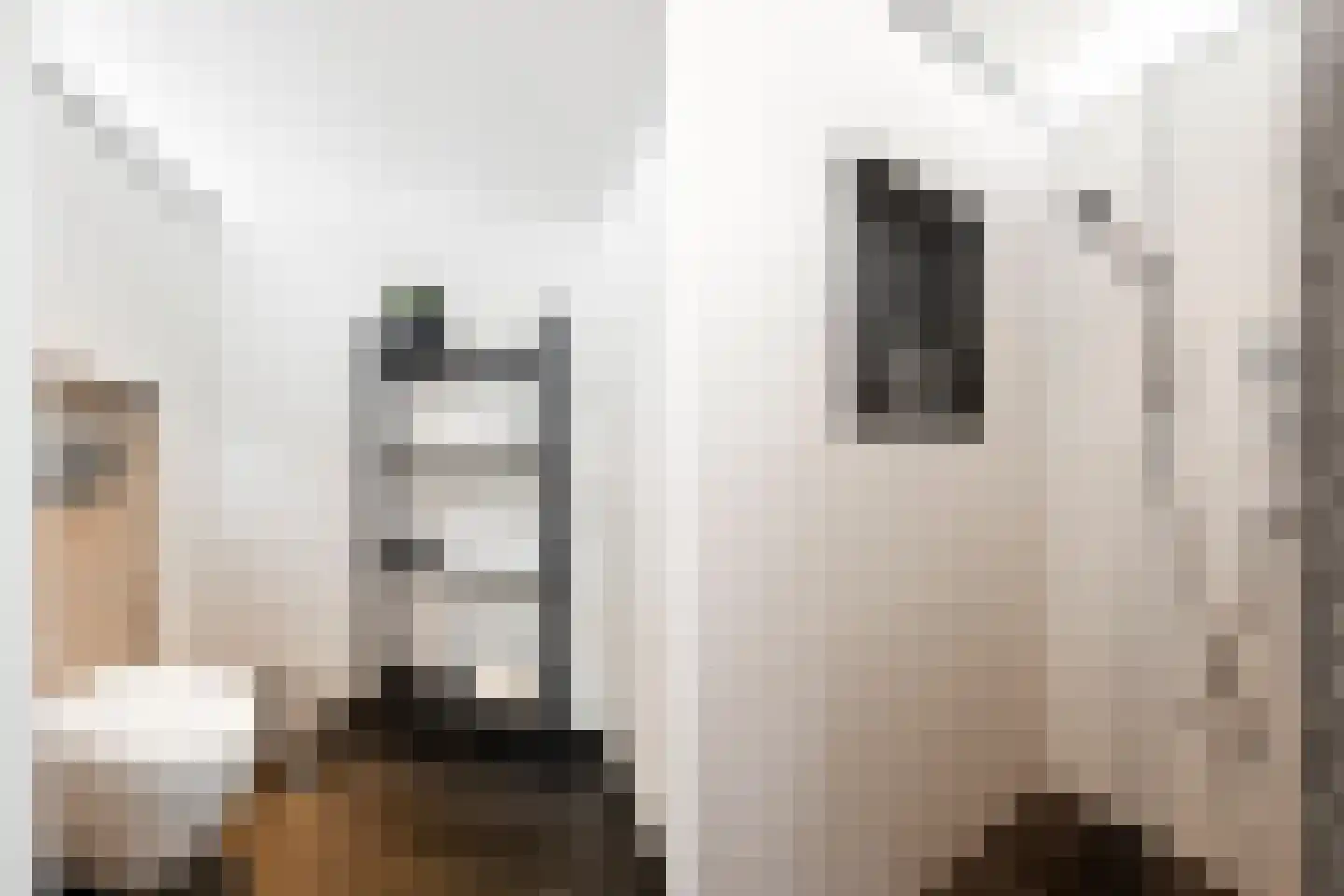 Vlietlaan 7 Gorinchem thumbnail 39