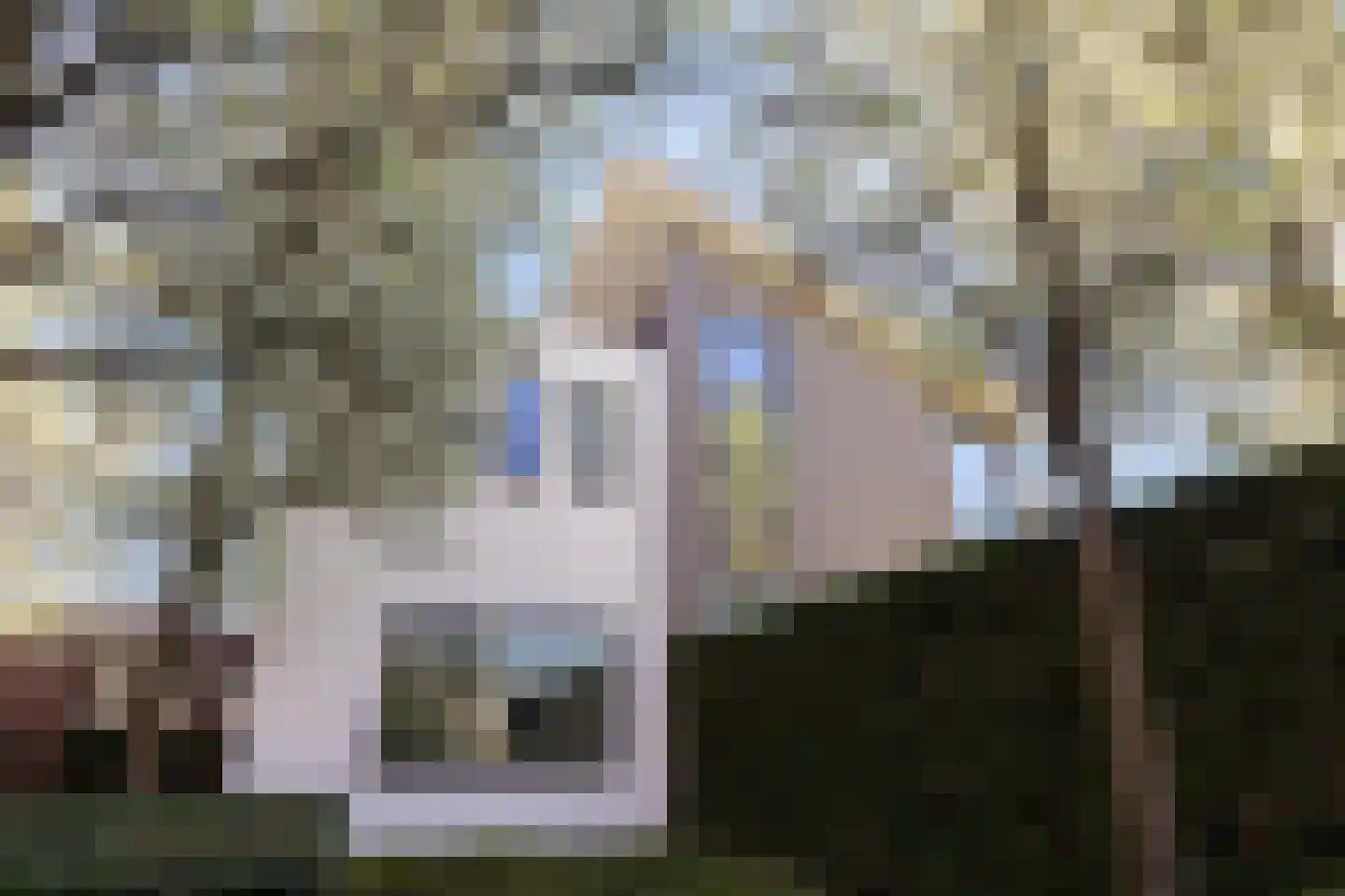Vlietlaan 7 Gorinchem thumbnail 4