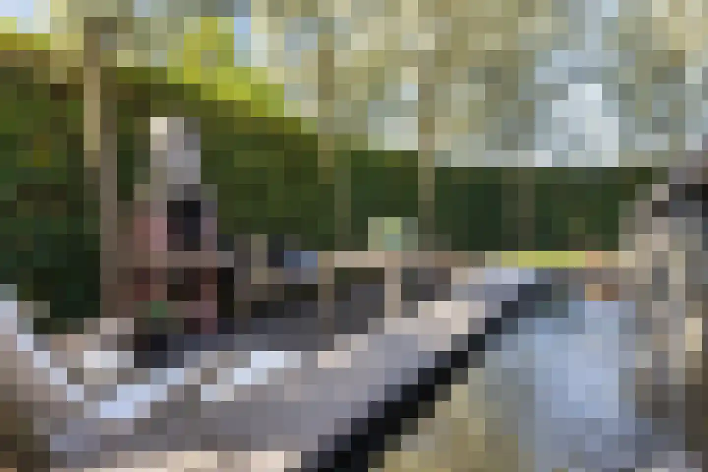 Vlietlaan 7 Gorinchem thumbnail 53